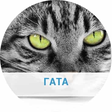 ta_panta_gia_tis_gates