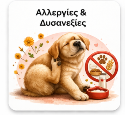 Διαχείριση Αλλεργιών & Δυσανεξιών