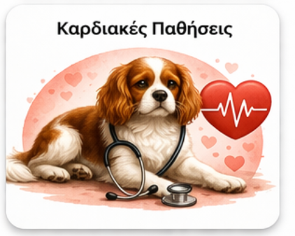 Διαχείριση Καρδιακών  Παθήσεων