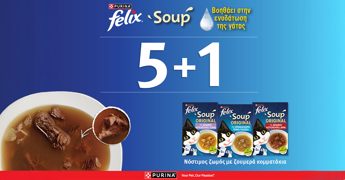 Super Προσφορά  5+1 ΔΩΡΟ  Felix Soups (6 Πολυσυσκευασίες)