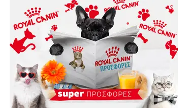 ROUAL CANIN ΠΡΟΣΦΟΡΕΣ