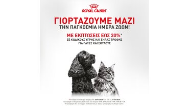 Γιοσταζουμε μαζί την Παγκόσμια Ημέρα Ζωών  με Εκπτώσεις 30% σε κωδικούς  Υγρής Τροφής για Σκύλους Γιοσταζουμε μαζί την Παγκόσμια Ημέρα Ζωών  με Εκπτώσεις 30% σε κωδικούς  Υγρής Τροφής για Σκύλους